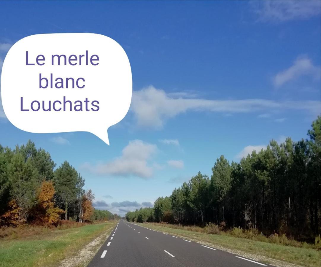 Le Merle Blanc Louchats Hotel Ngoại thất bức ảnh