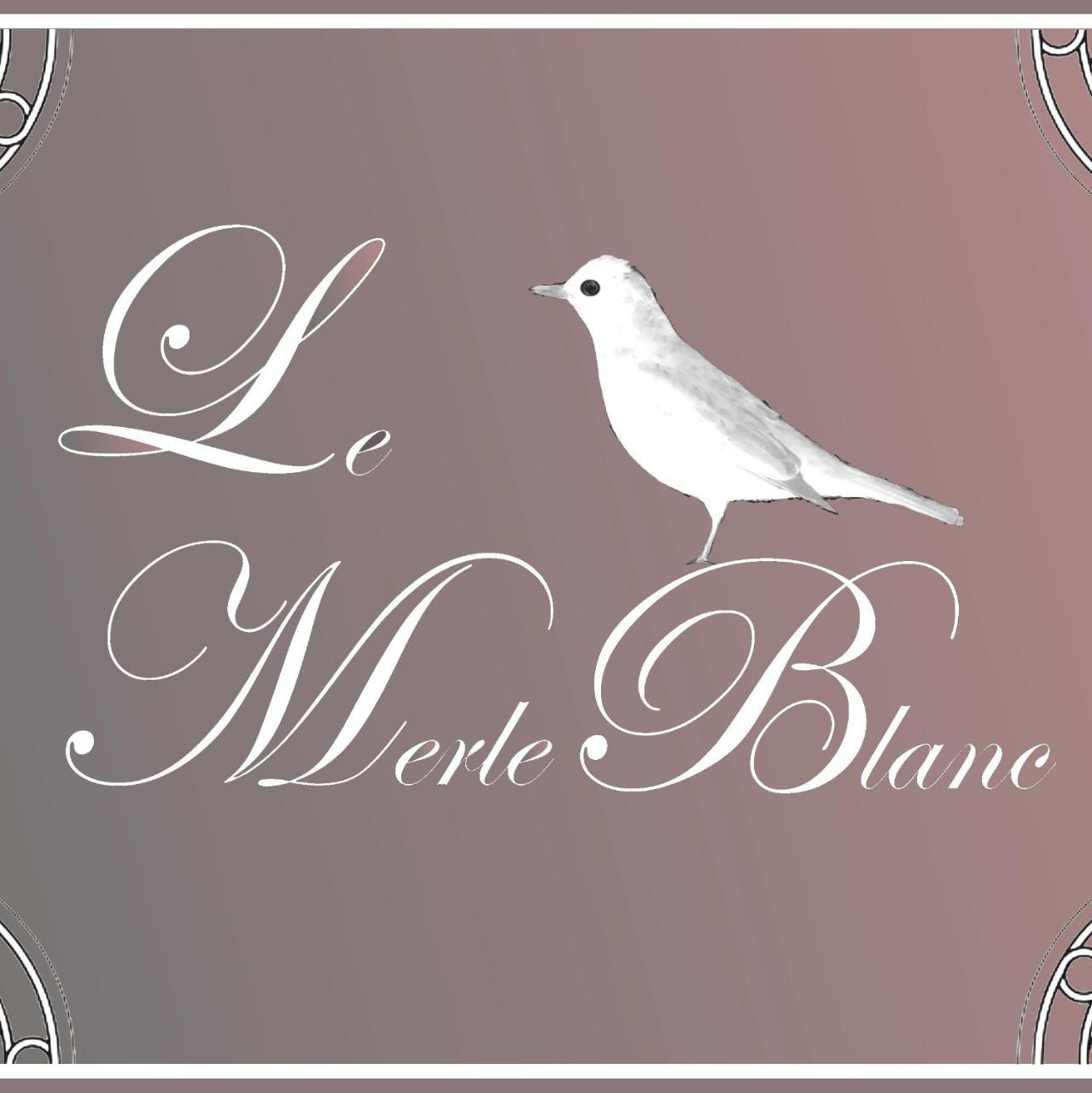 Le Merle Blanc Louchats Hotel Ngoại thất bức ảnh